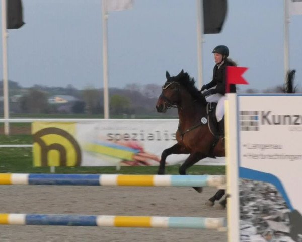 Reitturnier Langenau 2018