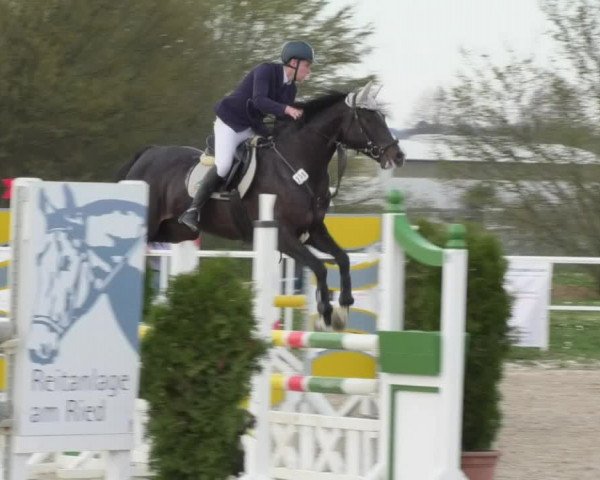 Reitturnier Langenau 2018