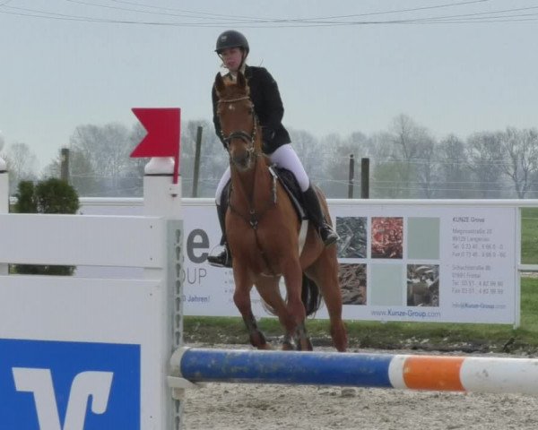 Reitturnier Langenau 2018