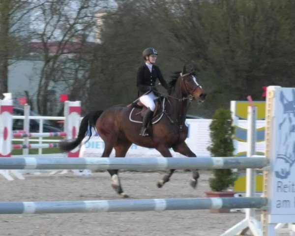 Reitturnier Langenau 2018