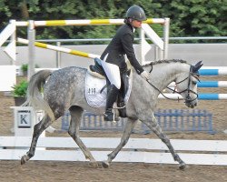 broodmare WhyNot Up and Away (German Riding Pony, 2006, from Callenberg's Just in time)