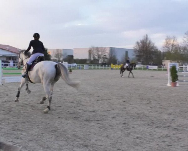 Reitturnier Langenau 2018