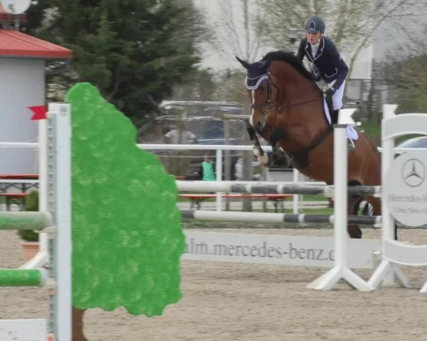 Reitturnier Langenau 2018