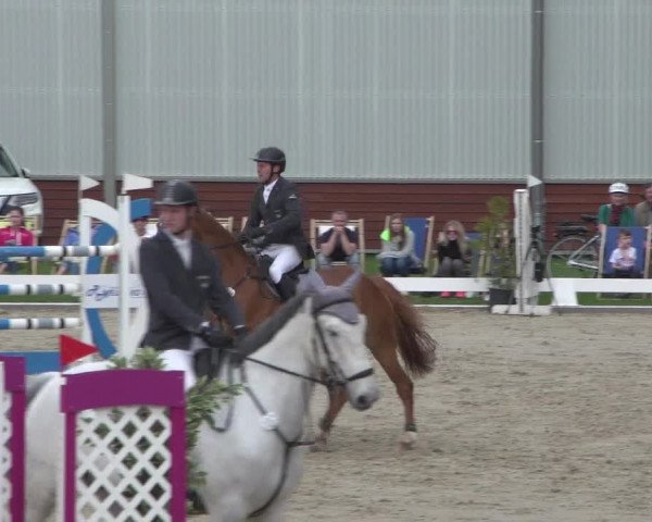 Reitturnier Zweibrücken 2018