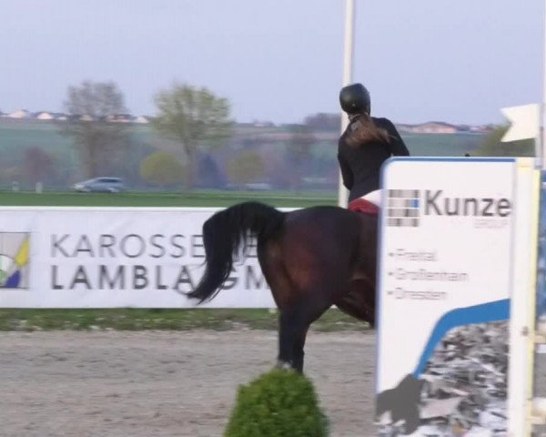 Reitturnier Langenau 2018