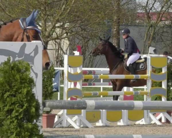 Reitturnier Langenau 2018