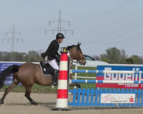 Reitturnier Langenau 2018