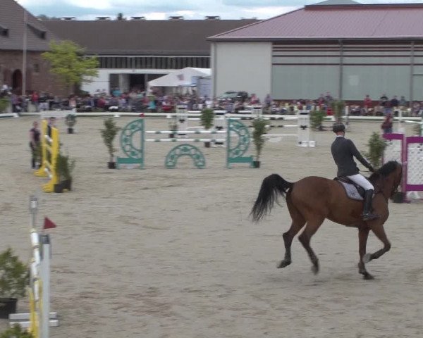 Reitturnier Zweibrücken 2018