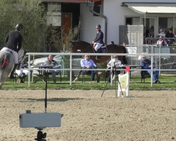 Reitturnier Langenau 2018