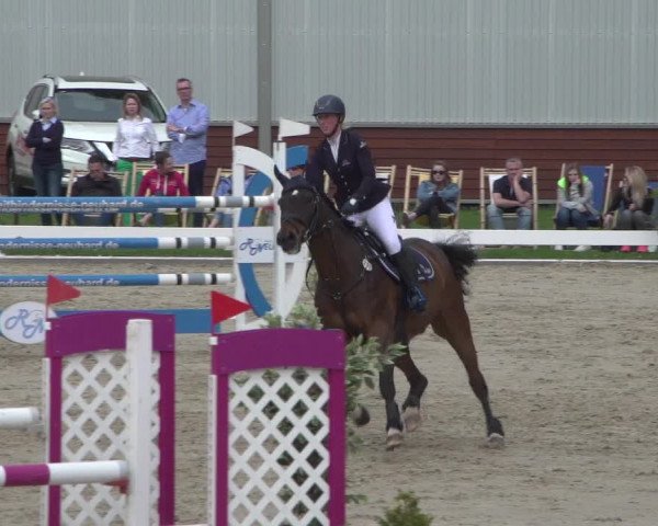 Reitturnier Zweibrücken 2018