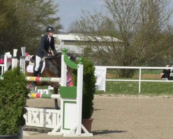 Reitturnier Langenau 2018
