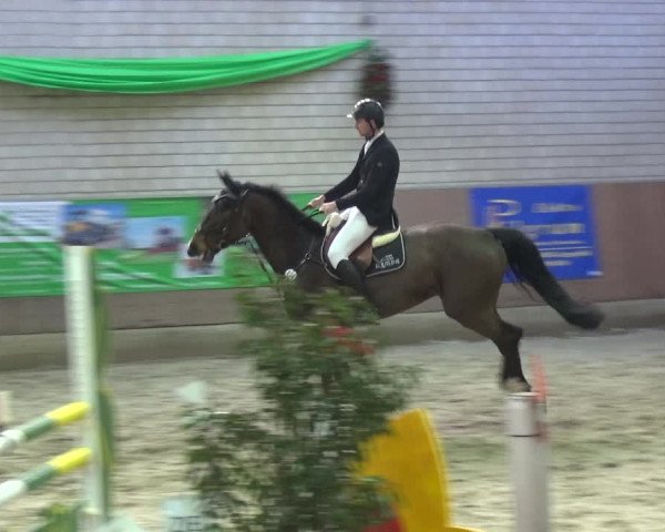 Reitturnier Leverkusen-Rheindorf 2018