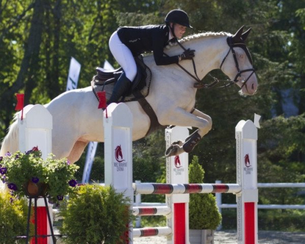 stallion Osiris (Estonian Sport, 2013, from Opaal) stallion Osiris (Estonian Sport, 2013, from Opaal)