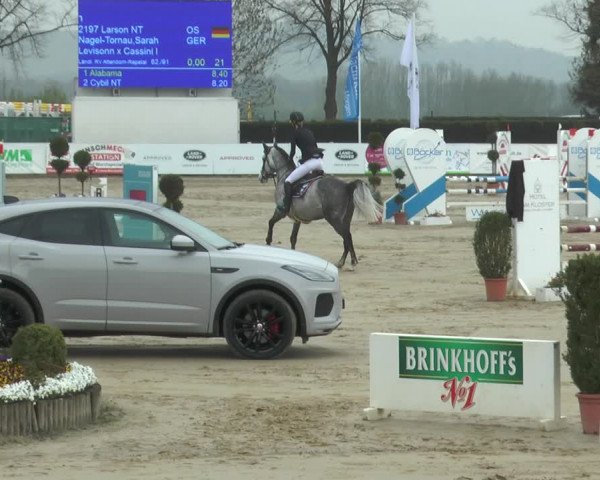 Lenklarer Reitertage 2018