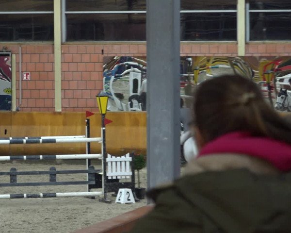 Reitturnier Mönchengladbach-Wickrath 2021
