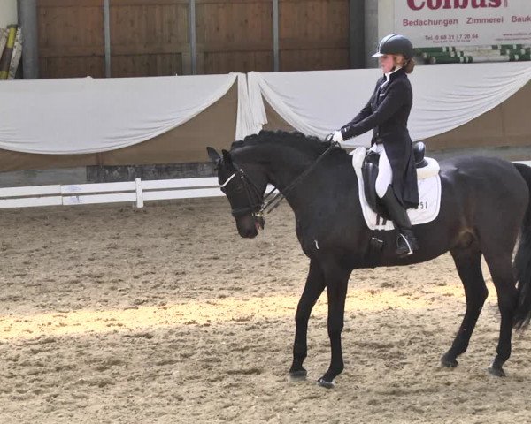 Reitturnier Saarlouis 2018