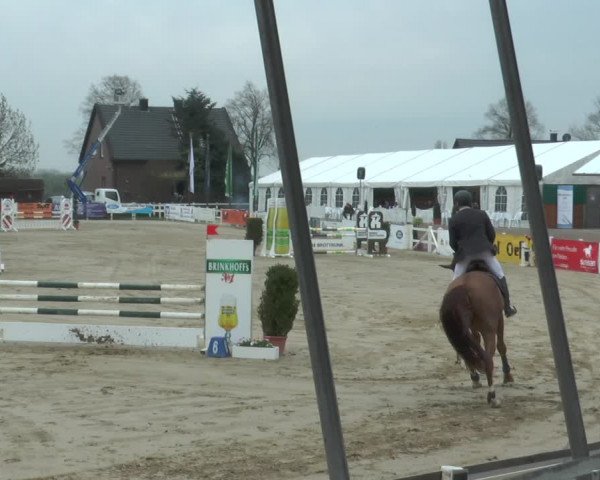 Lenklarer Reitertage 2018