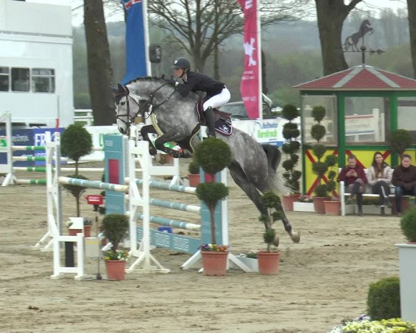 Reitturnier Werne-Lenklar 2018