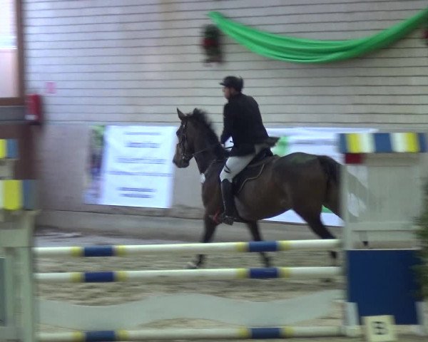 Reitturnier Leverkusen-Rheindorf 2018