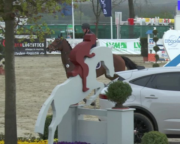 Lenklarer Reitertage 2018