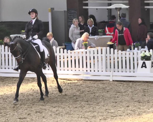 Reitturnier Saarlouis 2018