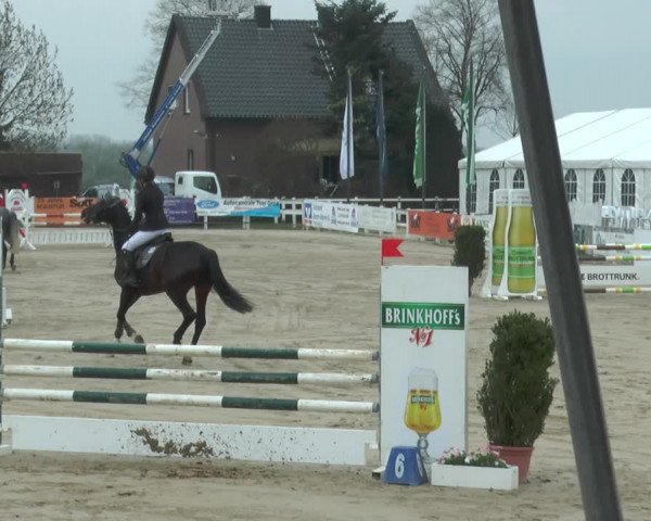 Reitturnier Werne-Lenklar 2018