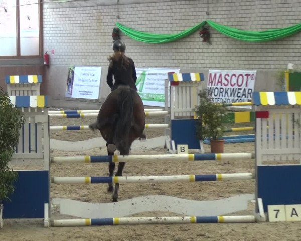 Reitturnier Leverkusen-Rheindorf 2018