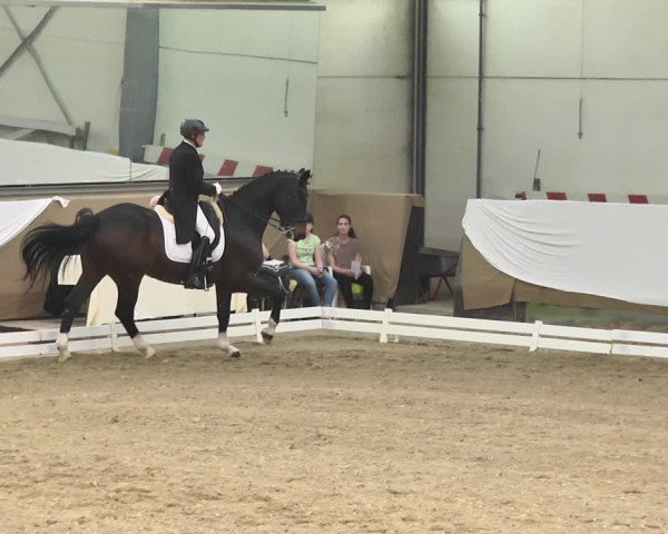 Reitturnier Saarlouis 2018