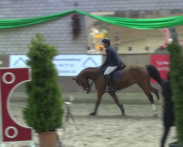 Reitturnier Leverkusen-Rheindorf 2018
