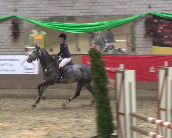Reitturnier Leverkusen-Rheindorf 2018
