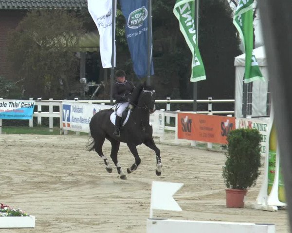 Lenklarer Reitertage 2018