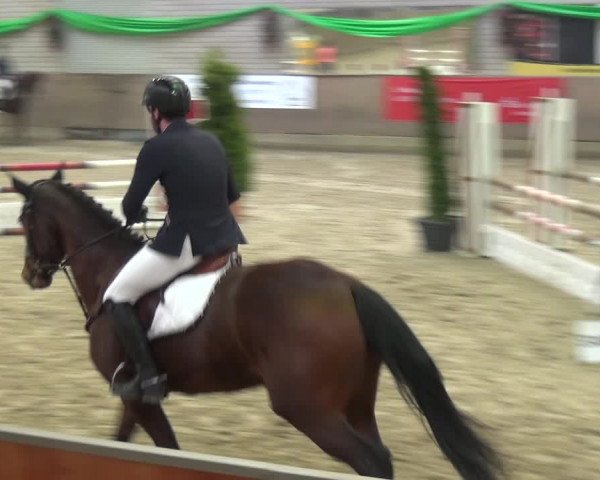 Reitturnier Leverkusen-Rheindorf 2018