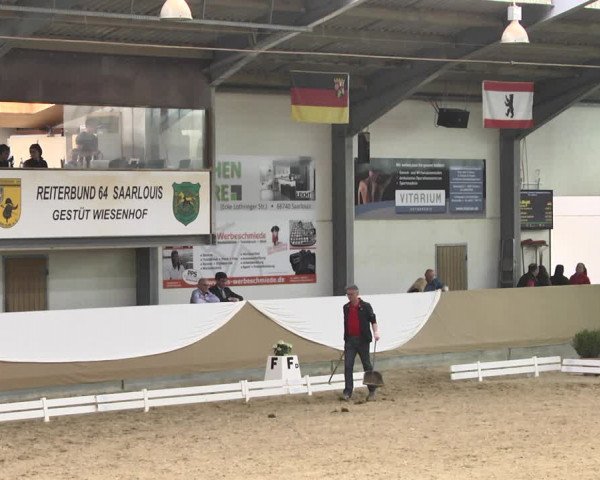 Reitturnier Saarlouis 2018