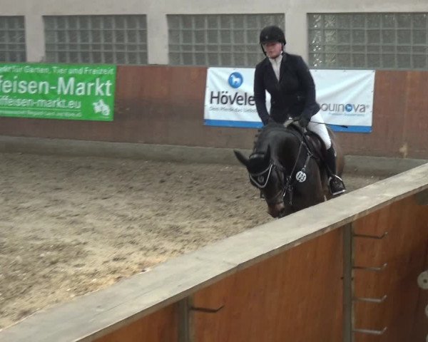 Reitturnier Leverkusen-Rheindorf 2018