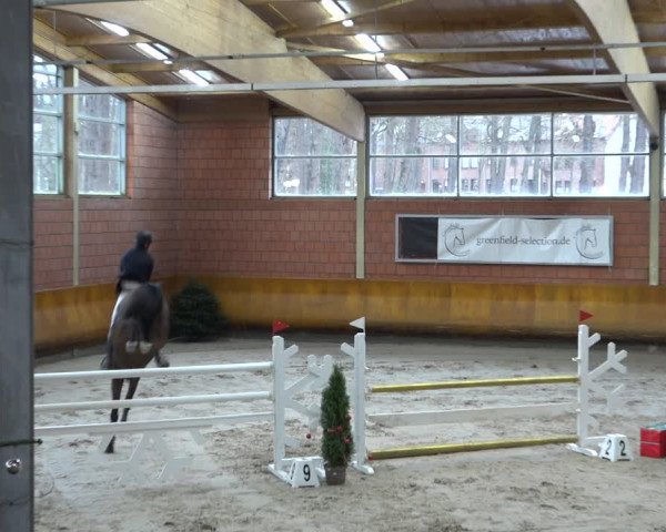 Reitturnier Mönchengladbach-Wickrath 2021