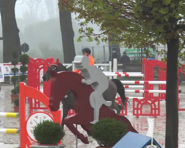 Reitturnier Werne-Lenklar 2018