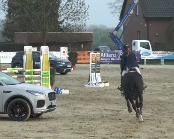 Reitturnier Werne-Lenklar 2018