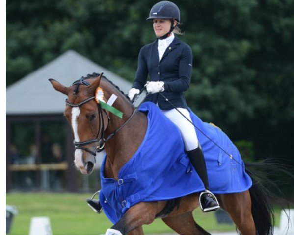 broodmare Lassira B (Rhinelander, 2010, from Lissaro)