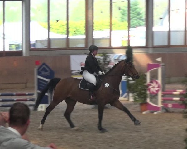 Reitturnier Leverkusen-Rheindorf 2018