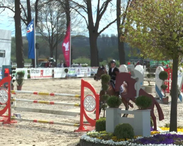 Reitturnier Werne-Lenklar 2018
