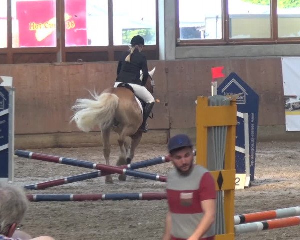 Reitturnier Leverkusen-Rheindorf 2018