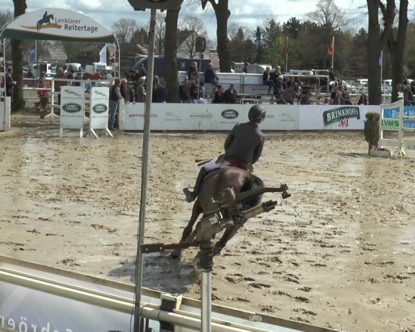 Reitturnier Werne-Lenklar 2018