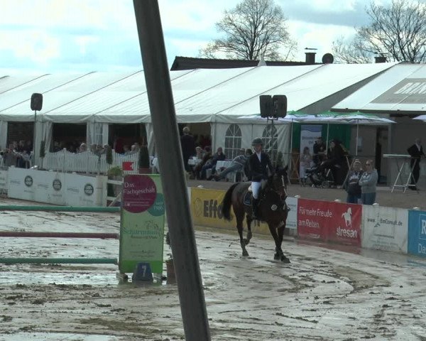 Lenklarer Reitertage 2018