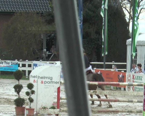 Lenklarer Reitertage 2018