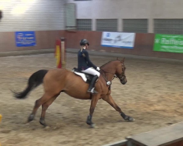 Reitturnier Leverkusen-Rheindorf 2018