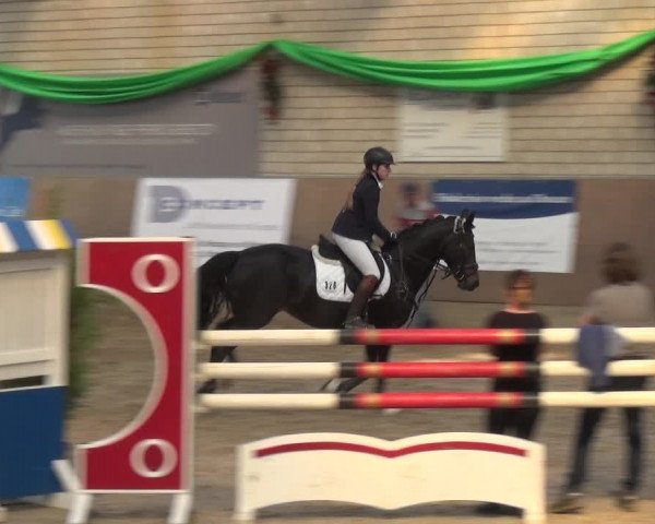 Reitturnier Leverkusen-Rheindorf 2018