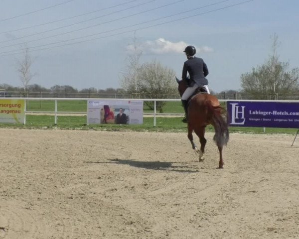 Reitturnier Langenau 2018