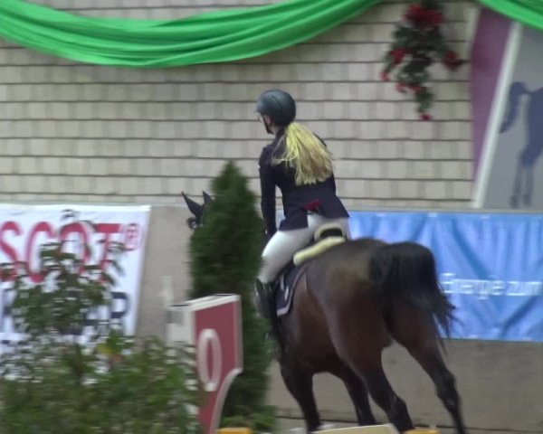Reitturnier Leverkusen-Rheindorf 2018