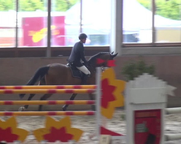 Reitturnier Saarlouis 2018