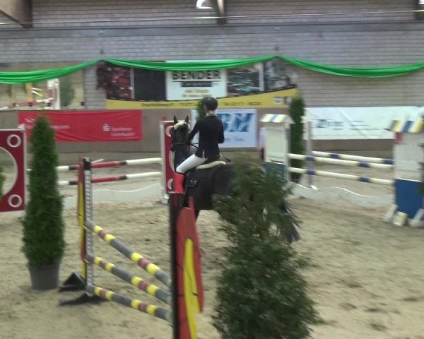 Reitturnier Leverkusen-Rheindorf 2018
